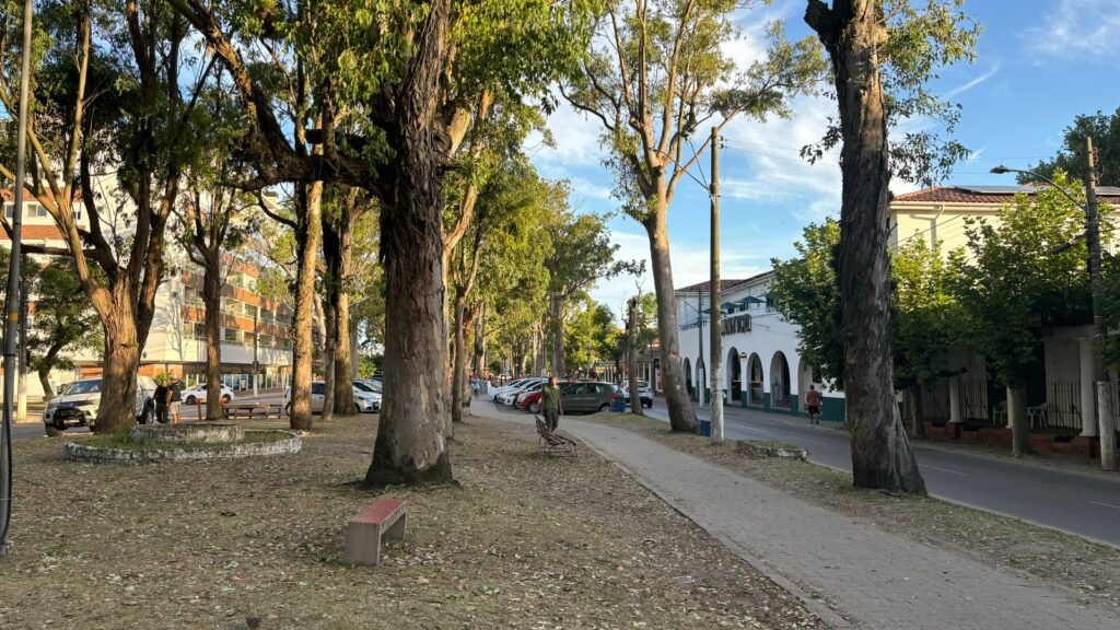 Avenida Rio Grande - Balneário Cassino
